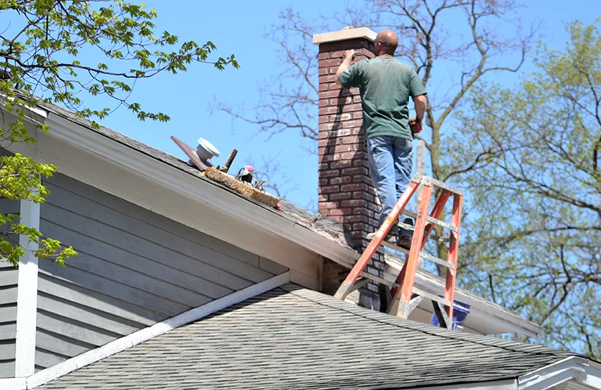 Chimney & Fireplace Inspections Services in Rock Island, IL